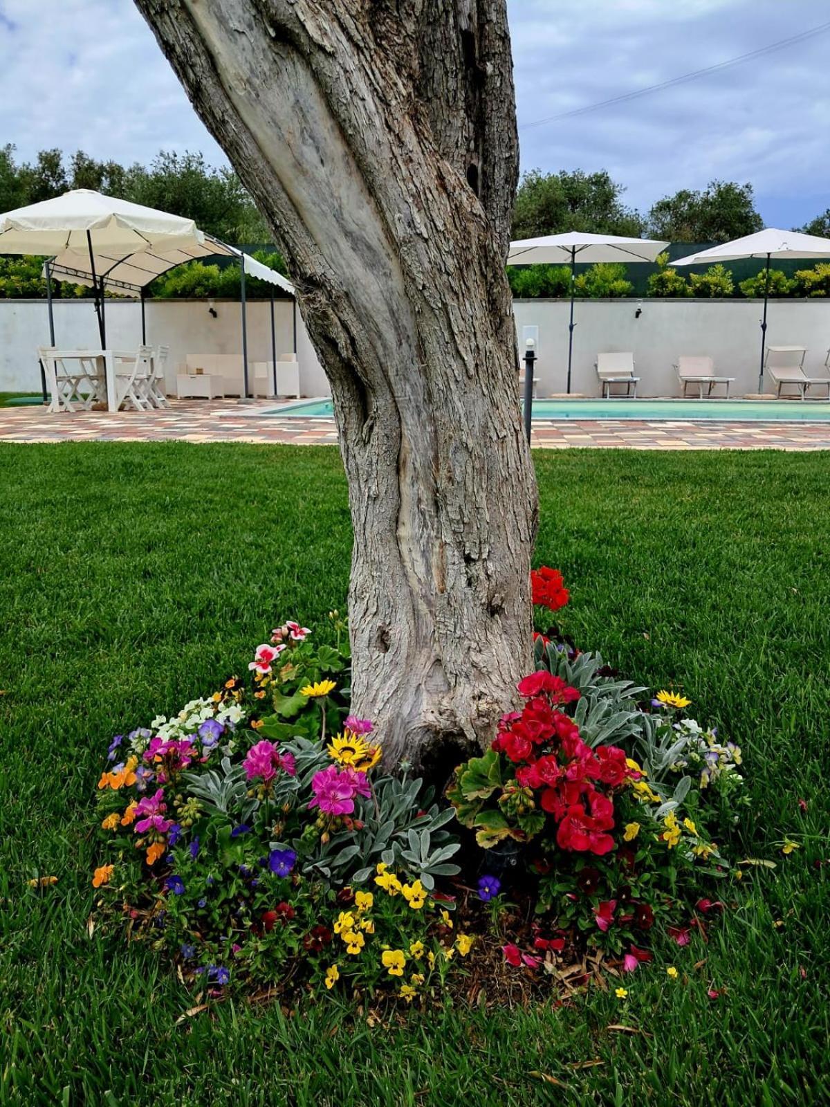 Villa Ginevra San Pasquale Dış mekan fotoğraf